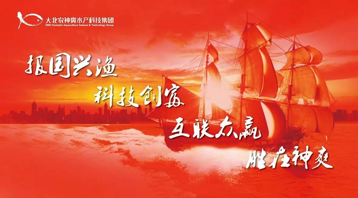 2017魏县招聘盛宴，梦想启航新篇章