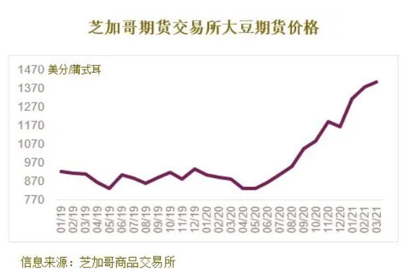 全球大豆市场实时动态