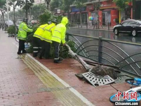 上海烟花台风实时动态